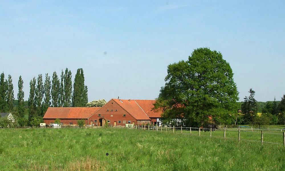 Bauernhof zwischen großen Bäumen, im Vordergund eine Wiese